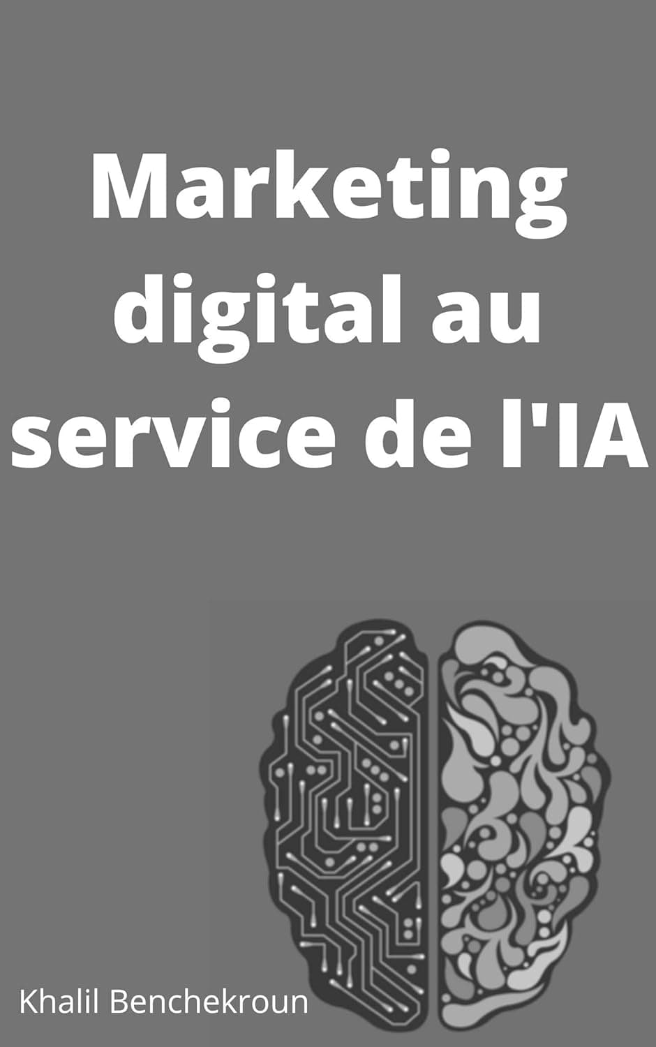 Marketing Digital au Service de l'IA